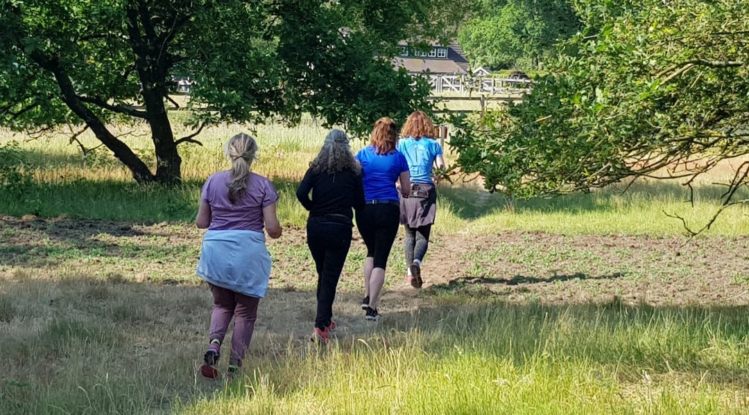 Groepswandeling door de wei